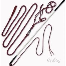 naturalhorsemanship-starterset3-png