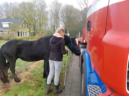 Jente Touch it vrachtwagen